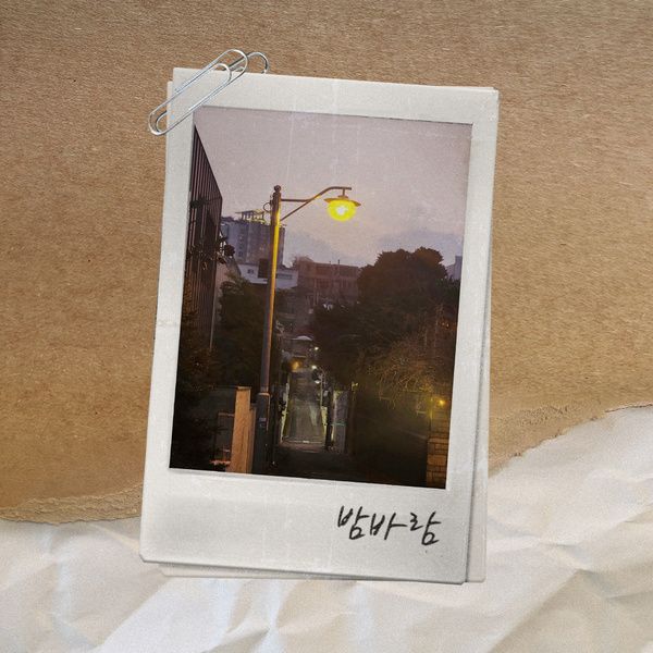 pinbird_밤바람